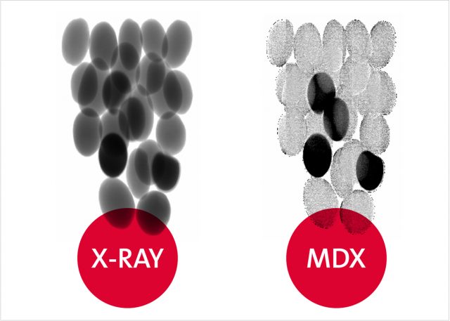 EaglePI_Technologies_MDX_Text_Image
