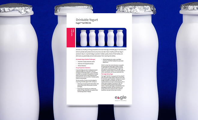 Healthlite yogurt information technology plan essay picture